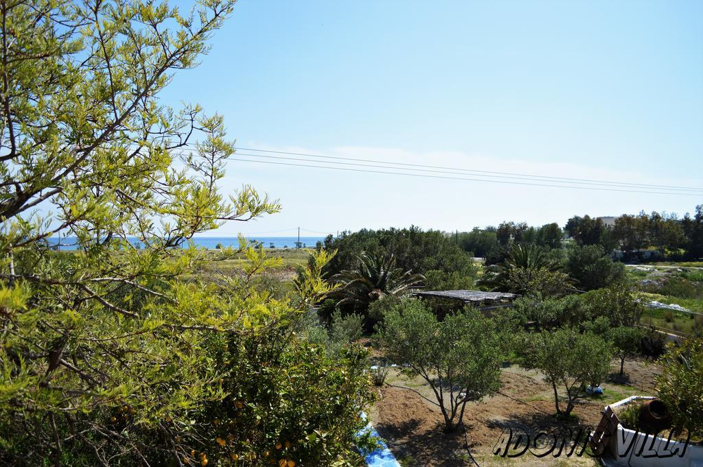 Adonis Villa Koutsounári Exterior foto